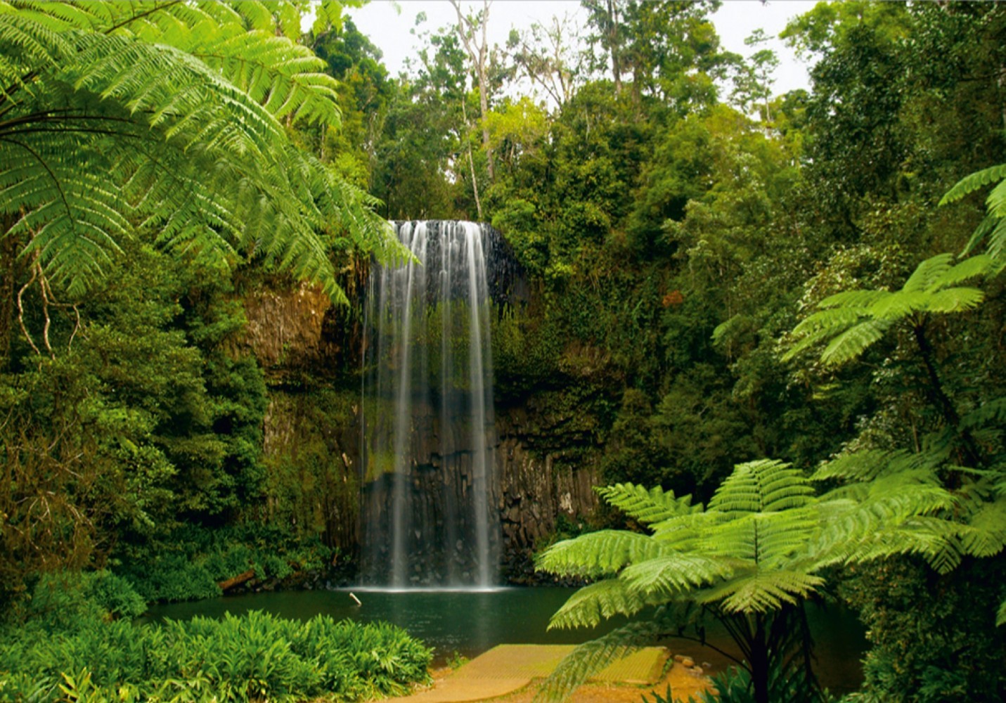 Wall mural wallpaper jungle downfall poster 127 cm x 180 cm / 1.39 yd x
